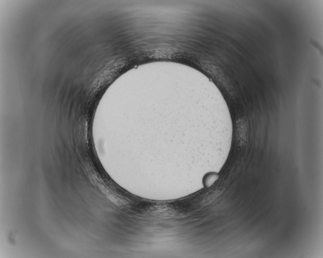 X0000102760589200809151016