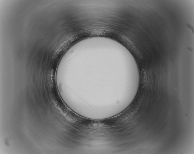 X0000102760590200809151016