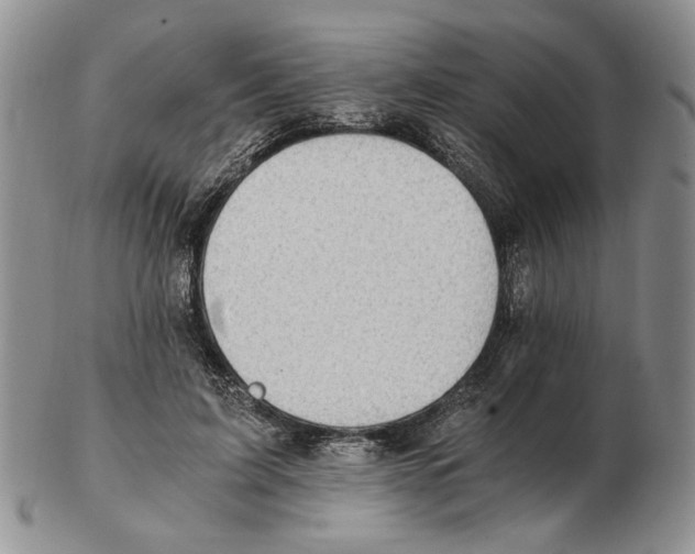 X0000102760595200809151016