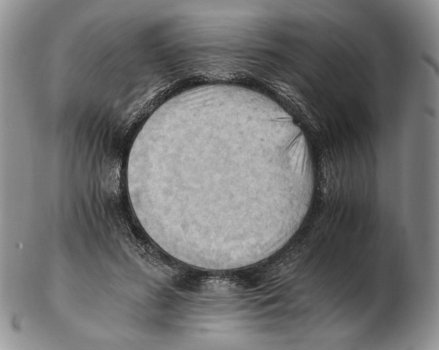 X0000102760596200809151016