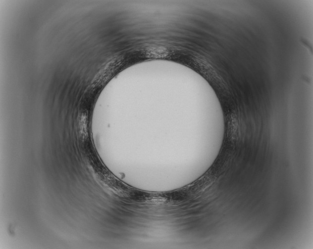 X0000102760598200809151016