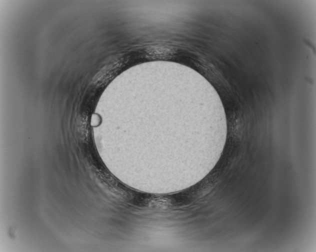 X0000102760599200809151016