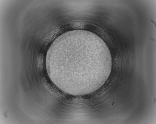 X0000102760600200809151016