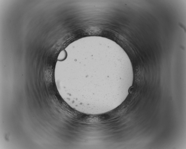 X0000102760604200809151016