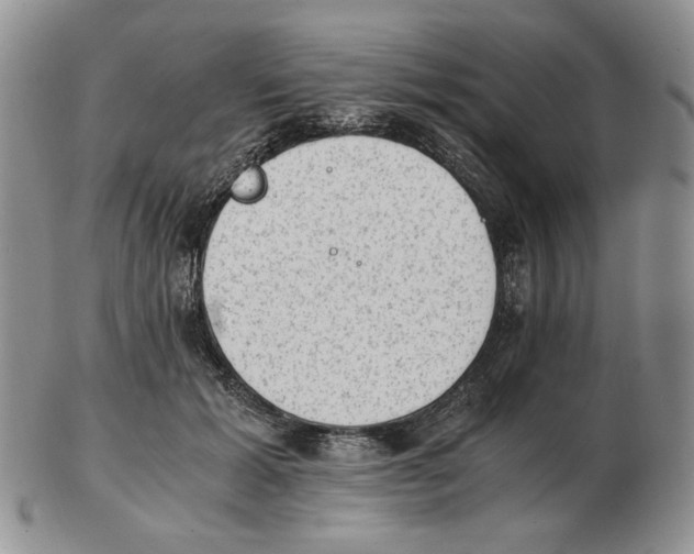 X0000102760605200809151016