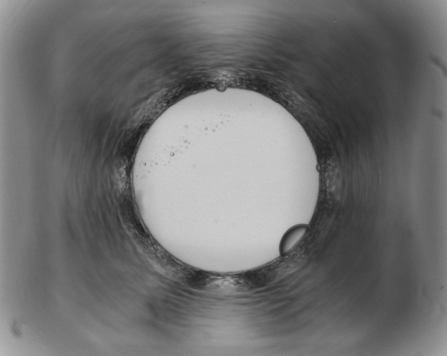 X0000102760611200809151016