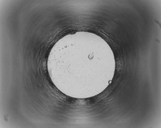 X0000102760613200809151016