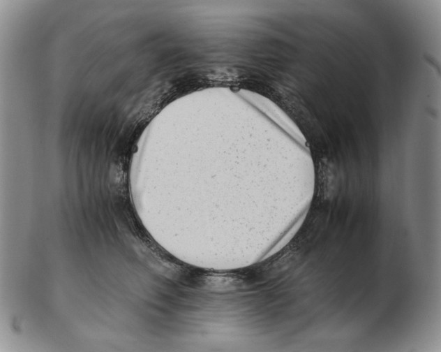 X0000102760614200809151016