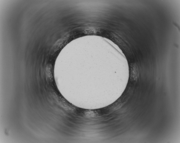 X0000102760616200809151016