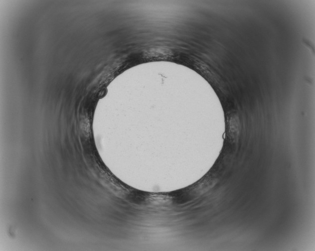 X0000102760617200809151016