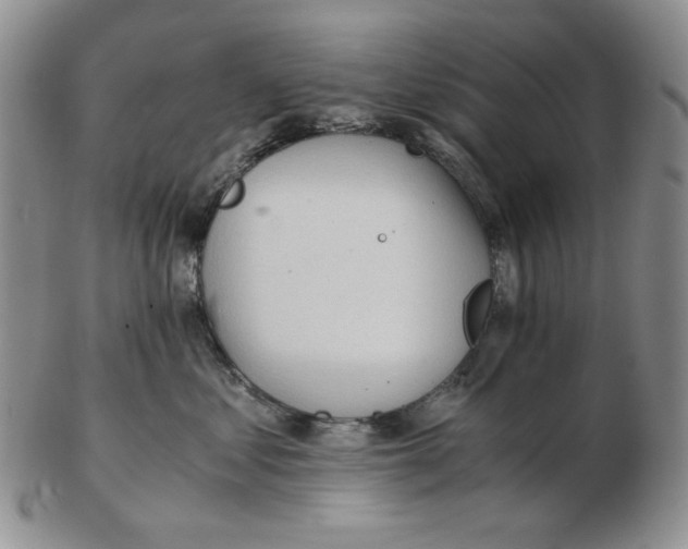 X0000102760621200809151016