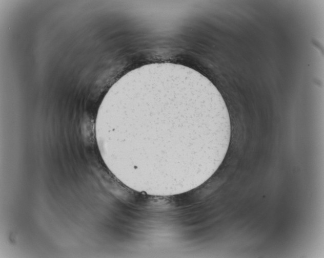 X0000102760624200809151016