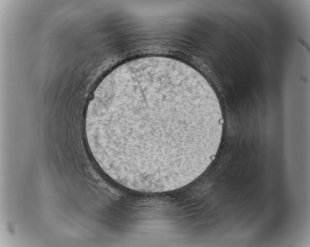 X0000102760625200809151015