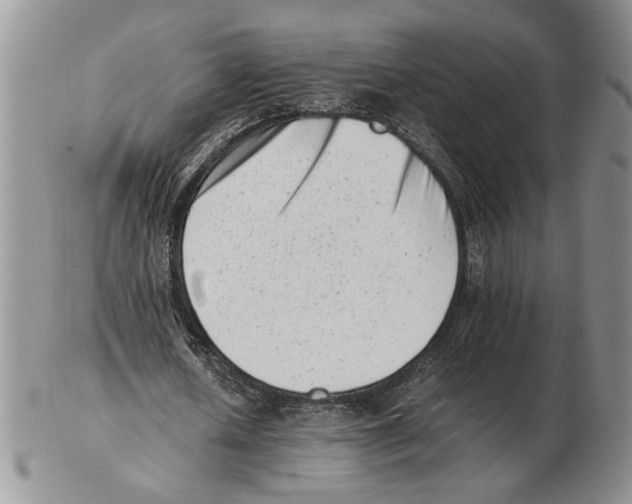 X0000102760626200809151015