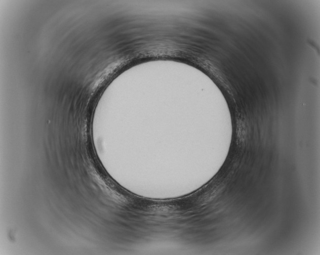 X0000102760629200809151015