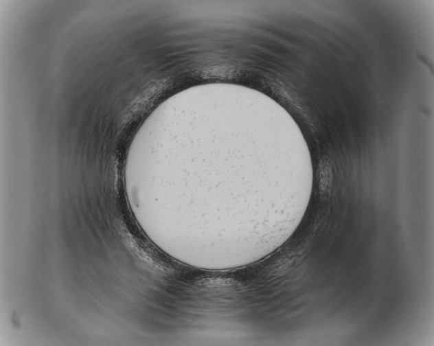 X0000102760637200809151015