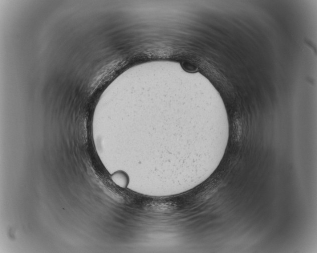 X0000102760638200809151015