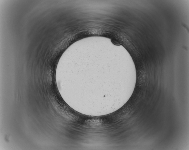 X0000102760639200809151015