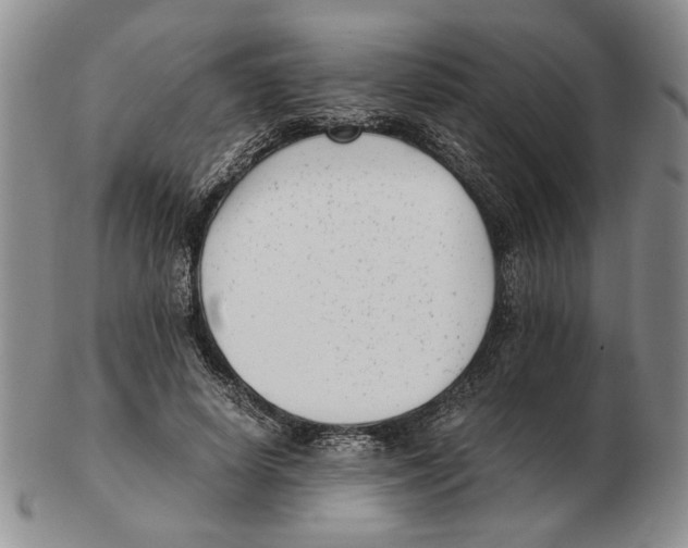 X0000102760642200809151015