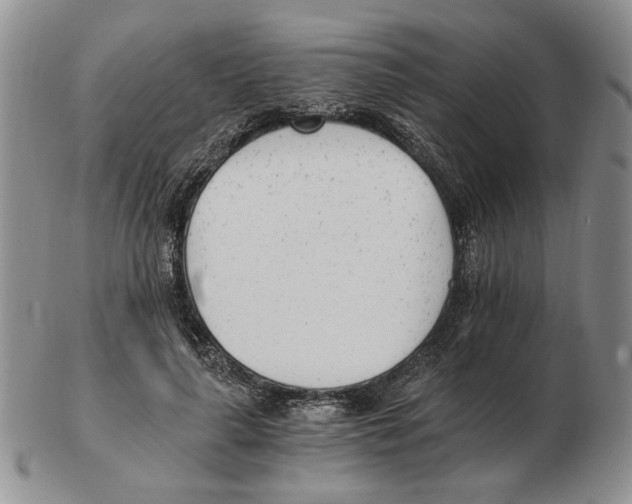 X0000102760643200809151015