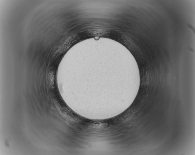 X0000102760646200809151015