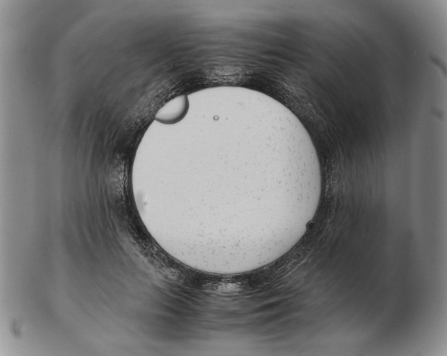 X0000102760647200809151015