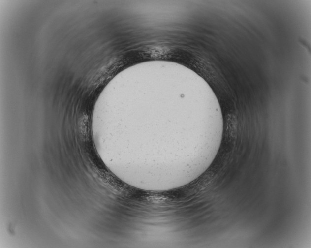 X0000102760650200809151015