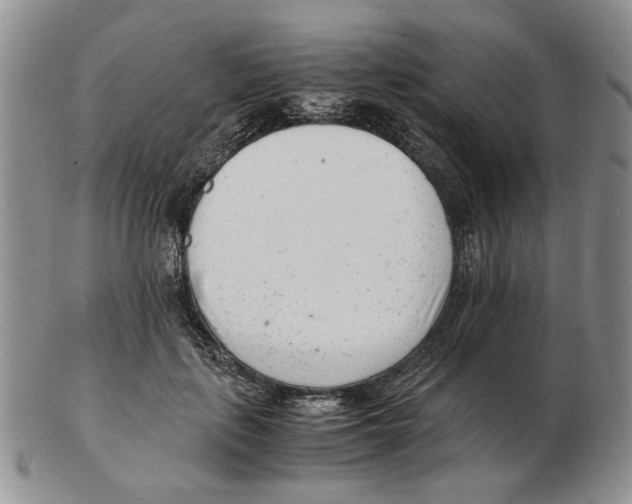 X0000102760651200809151015