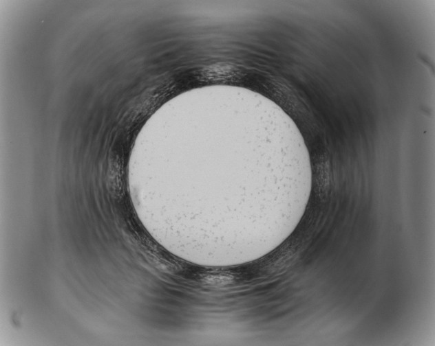 X0000102760653200809151015