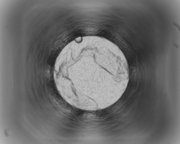 X0000102760655200809151015