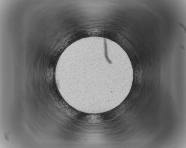 X0000102760660200809151015