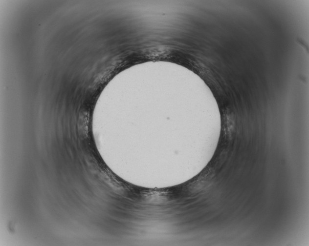 X0000102760664200809151016