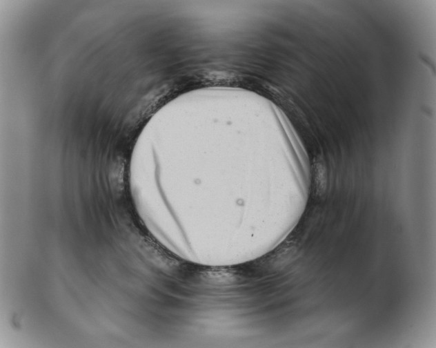 X0000102760668200809151016