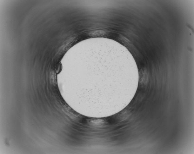 X0000102760669200809151016