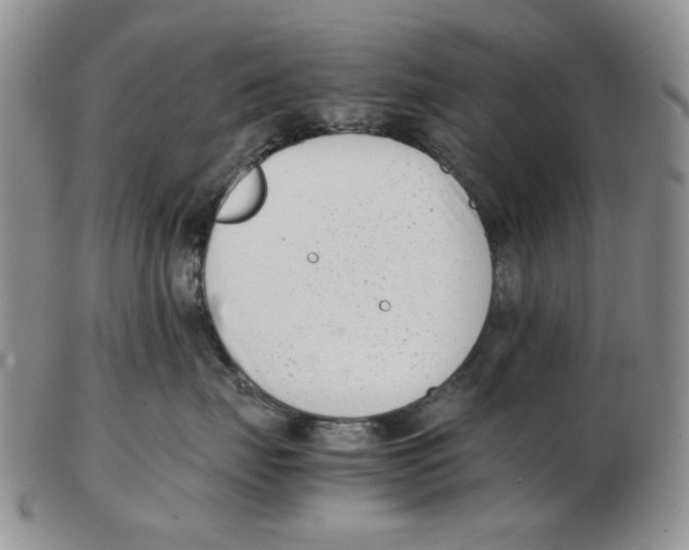 X0000102760671200809151016