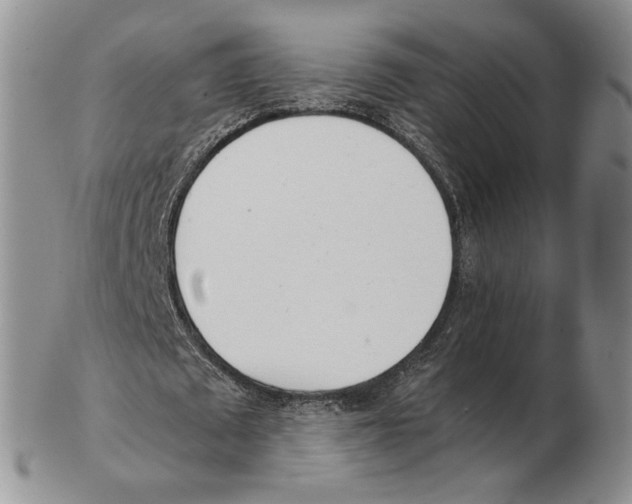 X0000102760673200809151015