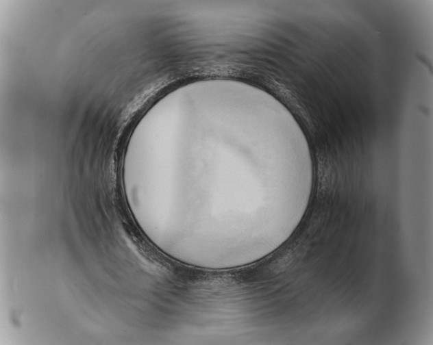 X0000102760674200809151015