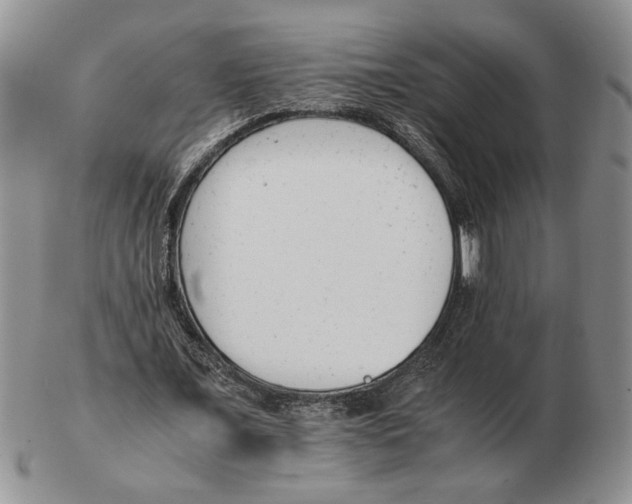 X0000102760675200809151015