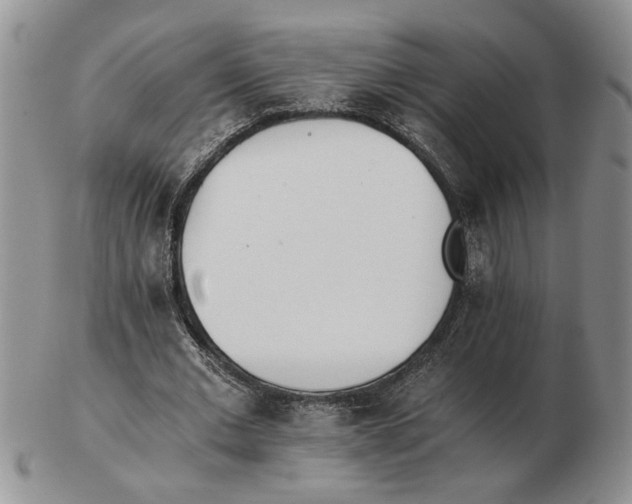 X0000102760677200809151015