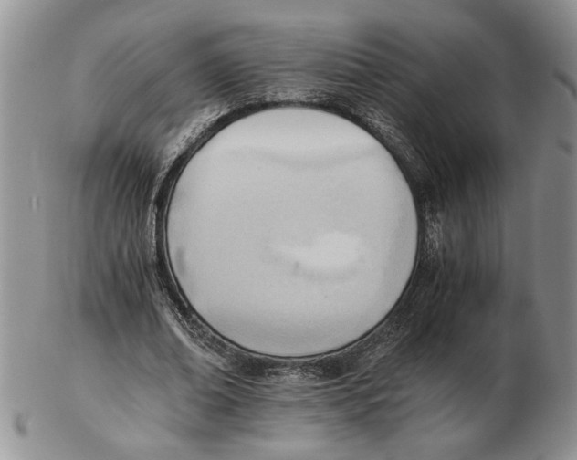 X0000102760678200809151015