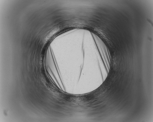 X0000102760679200809151015