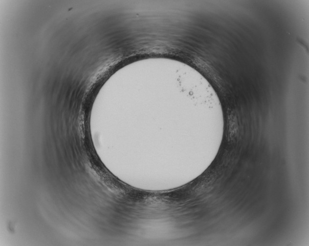 X0000102760680200809151015