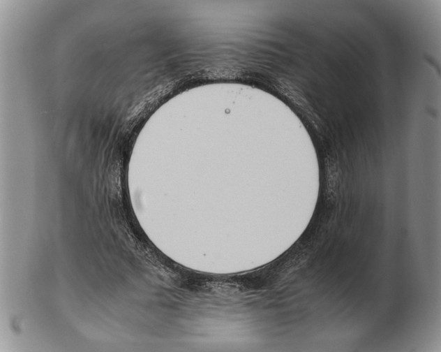 X0000102760681200809151015