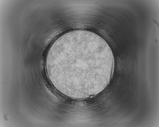 X0000102760683200809151015