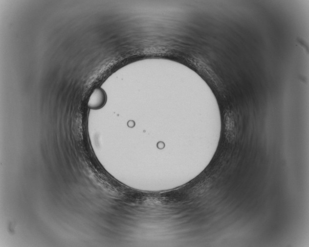 X0000102760684200809151015