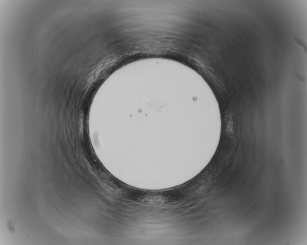 X0000102760685200809151015