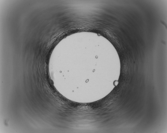 X0000102760689200809151015