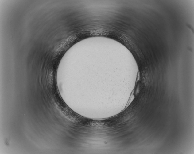 X0000102760690200809151015