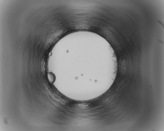 X0000102760692200809151015