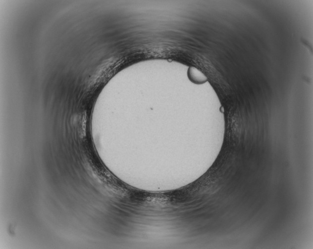 X0000102760694200809151015